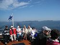 Kuivasaari