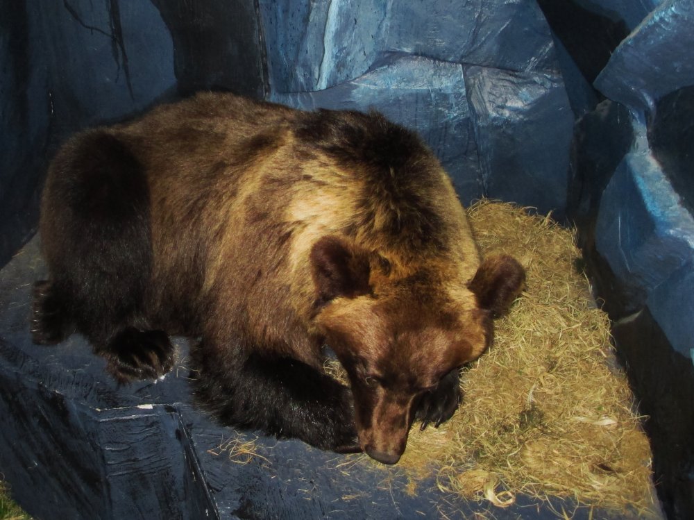 Haltia-retki 1.9.2013