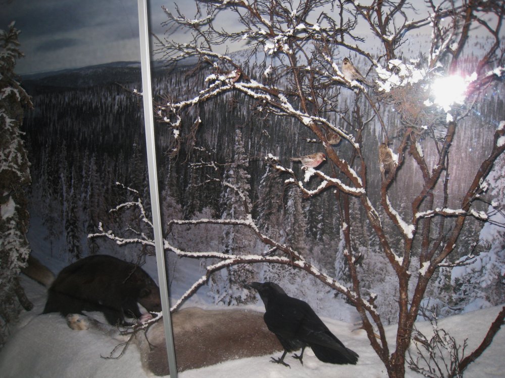 Haltia-retki 1.9.2013